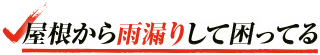 屋根から雨漏りがして困っている！